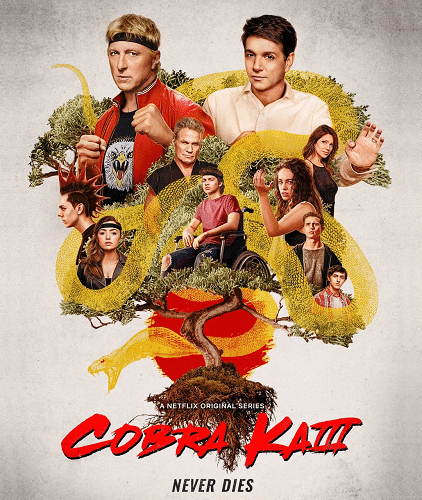 Cobra Kai: How to Build Character Through Internal Conflict